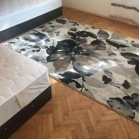 Stylish Spacious Flat * Sofia